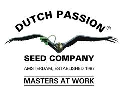 dutch passion 2